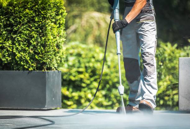Best Roof Washing  in Auburn, KS
